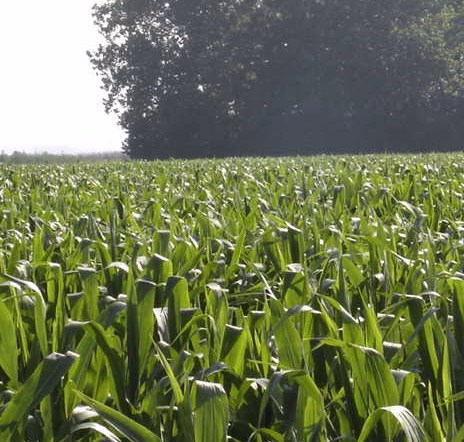 farm_entrance.JPG