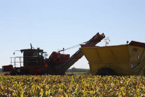 harvest/picker.jpg